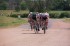 Thumbs/tn__18_0266.jpg