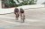 Thumbs/tn_035_36.jpg