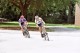 Thumbs/tn_14A_0100.jpg