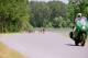 Thumbs/tn_09550003.jpg
