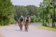 Thumbs/tn_09550004.jpg